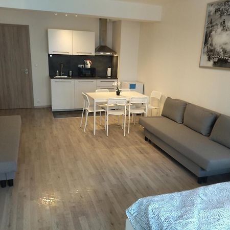 Brand New Studio Apartment #24 In Elite Residence With Free Secure Parking In The Center Прага Екстериор снимка